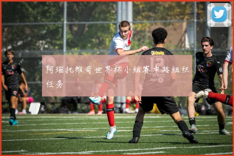 阿瑙托维奇世界杯小组赛中路组织任务