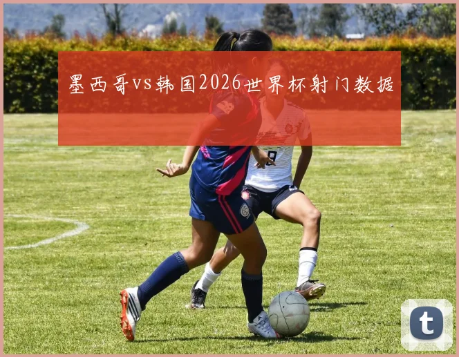 墨西哥vs韩国2026世界杯射门数据