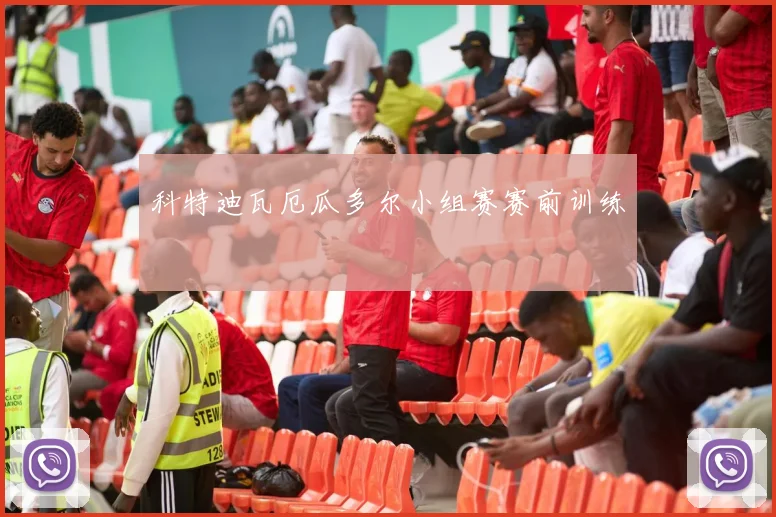 科特迪瓦厄瓜多尔小组赛赛前训练