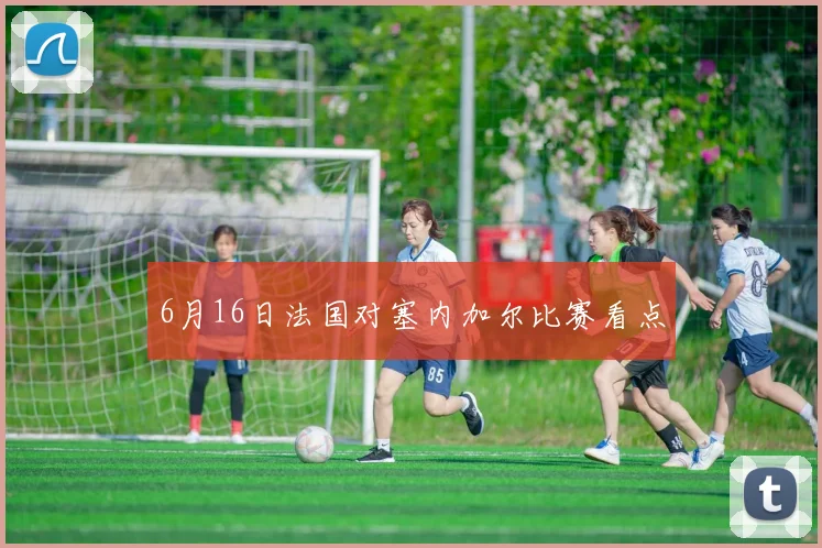 6月16日法国对塞内加尔比赛看点