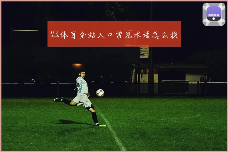 MK体育全站入口常见术语怎么找